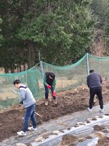 팜모닝 자유주제·자유게시판 게시글 이미지