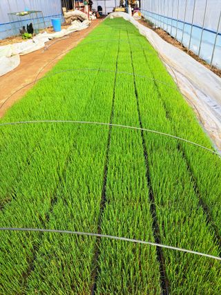 좋은인연원님의 자유주제 · 자유게시판 작성글 사진