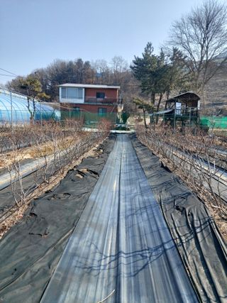 베리맘님의 자유주제 · 자유게시판 작성글 사진