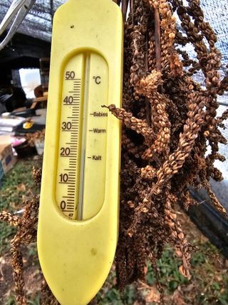 홍천산채농원님의 자유주제 · 자유게시판 작성글 사진