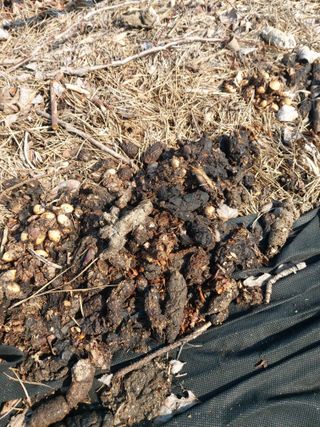 베리맘님의 자유주제 · 자유게시판 작성글 사진