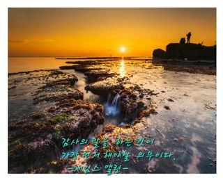 젠틀맨님의 자유주제 · 자유게시판 작성글 사진