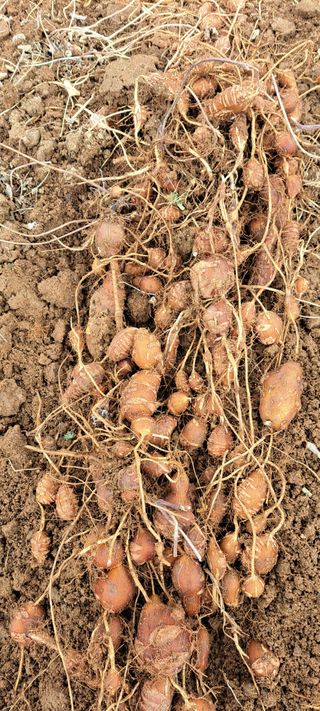 콩18930님의 자유주제 · 사진전 작성글 사진