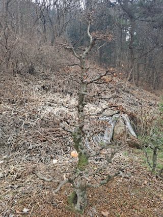 농촌사랑님의 자유주제 · 자유게시판 작성글 사진