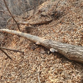 들깨님의 자유주제 · 자유게시판 작성글 사진