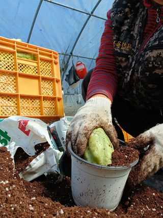 산성골농장님의 자유주제 · 자유게시판 작성글 사진