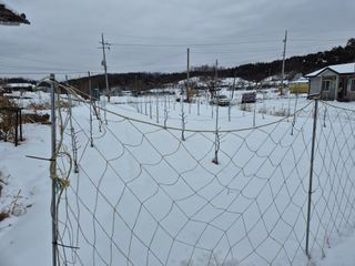 전홍열님의 자유주제 · 자유게시판 작성글 사진