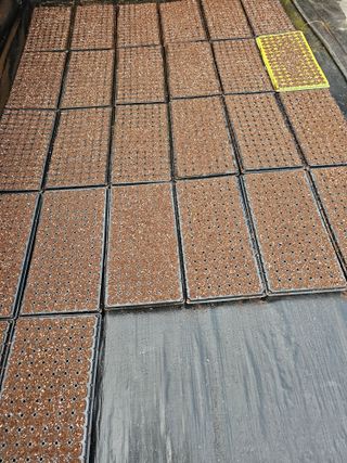 홍천산채농원님의 자유주제 · 자유게시판 작성글 사진