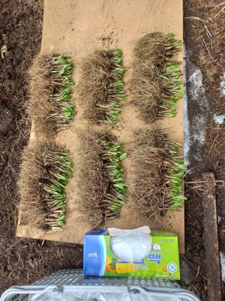 황덕순 님의 자유주제 · 자유게시판 작성글 사진