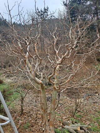 농촌사랑님의 자유주제 · 자유게시판 작성글 사진