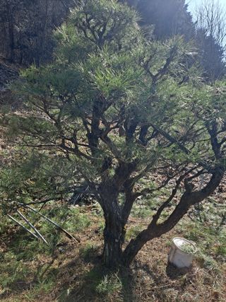 농촌사랑님의 자유주제 · 자유게시판 작성글 사진