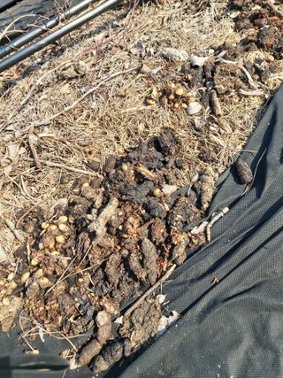 베리맘님의 자유주제 · 자유게시판 작성글 사진