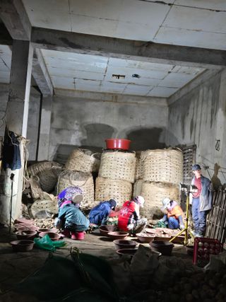 팜모닝회원 바이크농원님의 자유주제 · 자유게시판 작성글 사진