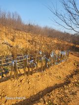 팜모닝 자유주제·자유게시판 게시글 이미지