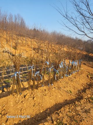 트리님의 자유주제 · 자유게시판 작성글 사진