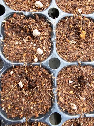 홍천산채농원님의 자유주제 · 자유게시판 작성글 사진