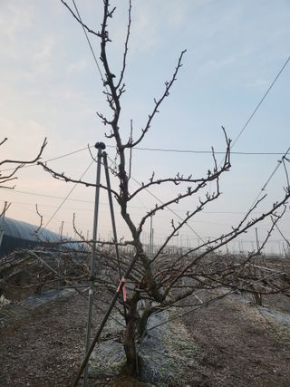 김용찬님의 자유주제 · 자유게시판 작성글 사진