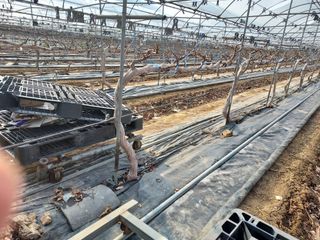 태일농산이정수님의 자유주제 · 자유게시판 작성글 사진