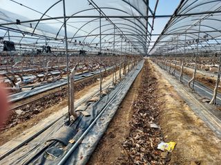 태일농산이정수님의 자유주제 · 자유게시판 작성글 사진