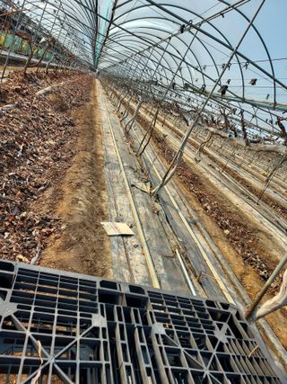 태일농산이정수님의 자유주제 · 자유게시판 작성글 사진