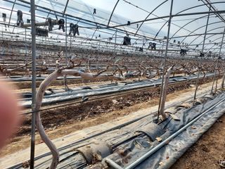 태일농산이정수님의 자유주제 · 자유게시판 작성글 사진