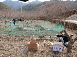 향양농장 사랑합니다님의 3월 농사 계획 공유해요 · 참여글 작성글 사진