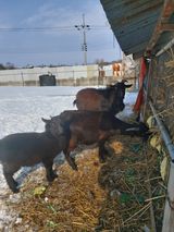 팜모닝 자유주제·자유게시판 게시글 이미지