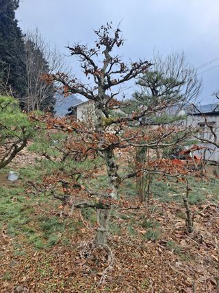 농촌사랑님의 자유주제 · 자유게시판 작성글 사진