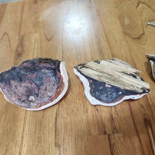 들깨님의 자유주제 · 자유게시판 작성글 사진