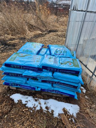 홍천.서석.안민기님의 자유주제 · 자유게시판 작성글 사진