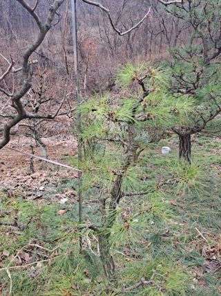 농촌사랑님의 자유주제 · 자유게시판 작성글 사진