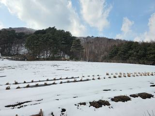 홍천산채농원님의 자유주제 · 자유게시판 작성글 사진