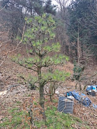 농촌사랑님의 자유주제 · 자유게시판 작성글 사진