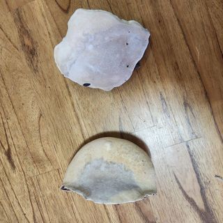 들깨님의 자유주제 · 자유게시판 작성글 사진