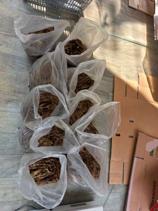 황덕순 님의 자유주제 · 자유게시판 작성글 사진