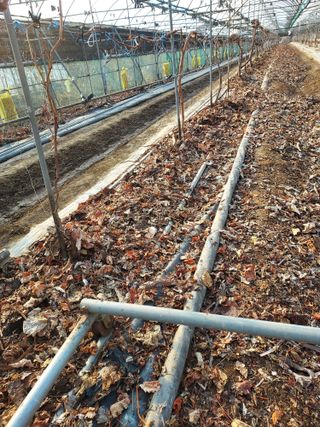 태일농산이정수님의 자유주제 · 자유게시판 작성글 사진