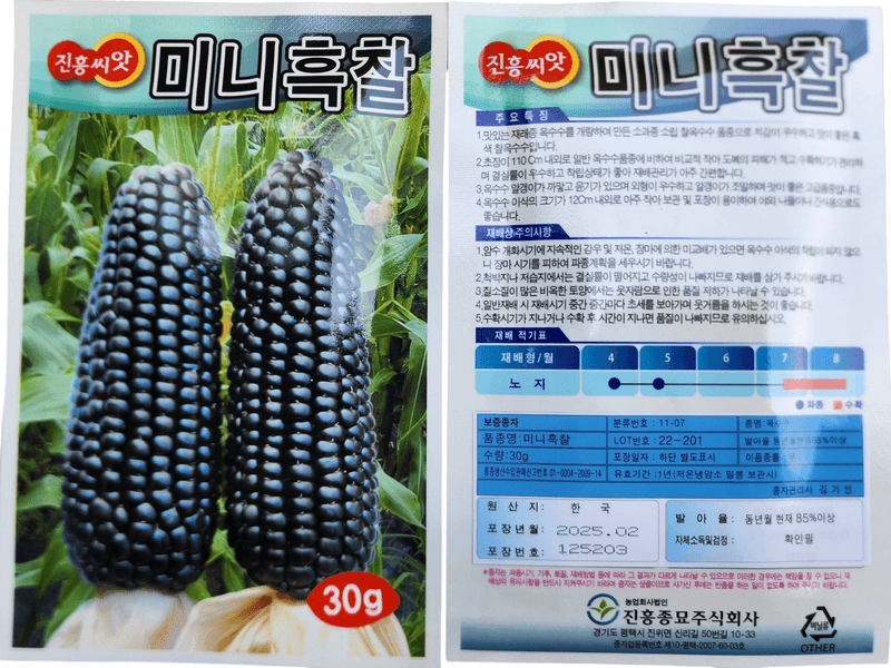 안산제일농약사님의 장터 판매 상품 [대학찰옥수수 오색옥수수 도담찰 초당옥수수 달구나찰 옥수수씨앗 모음 ] 첨부 사진