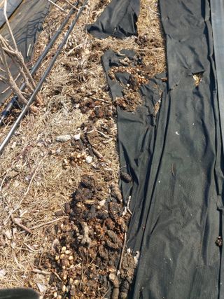 베리맘님의 자유주제 · 자유게시판 작성글 사진