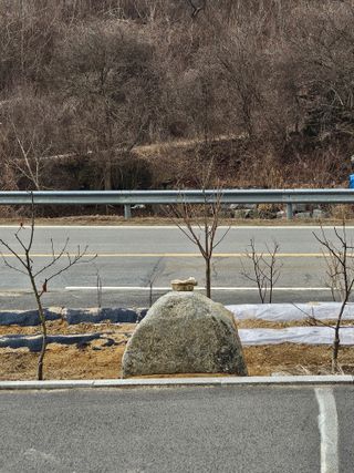이병곤님의 농사, 무엇이든 물어보세요! · 참여글 작성글 사진