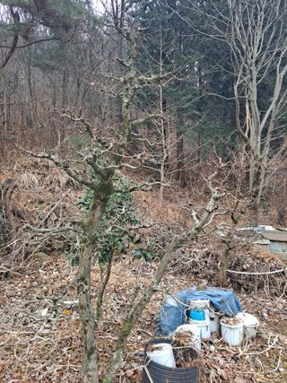 농촌사랑님의 자유주제 · 자유게시판 작성글 사진