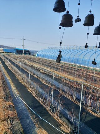 베리맘님의 자유주제 · 자유게시판 작성글 사진