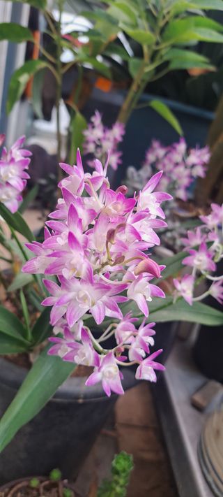 콩18930님의 자유주제 · 사진전 작성글 사진