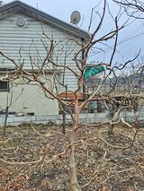 팜모닝 자유주제·자유게시판 게시글 이미지