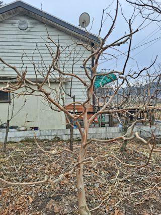 농촌사랑님의 자유주제 · 자유게시판 작성글 사진