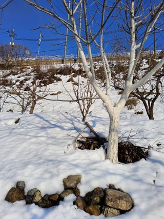 김용대님의 자유주제 · 자유게시판 작성글 사진