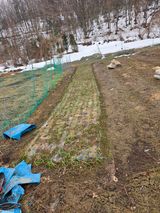 팜모닝 자유주제·사진전 게시글 이미지