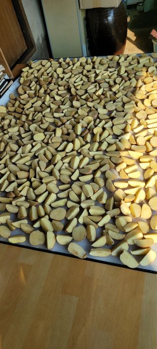 박영준님의 3월 농사 계획 공유해요 · 참여글 작성글 사진