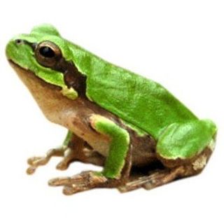 최한기님의 자유주제 · 자유게시판 작성글 사진