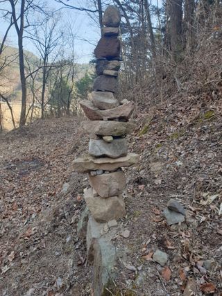 세미골곶감님의 자유주제 · 자유게시판 작성글 사진