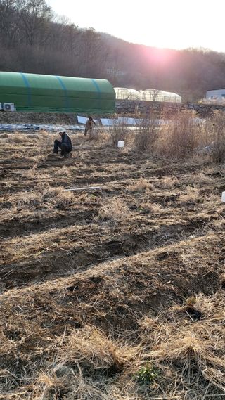 오정식님의 3월 농사 계획 공유해요 · 참여글 작성글 사진